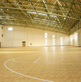 Sàn thể thao Royhome Floor là những mẫu sàn khá cao cấp