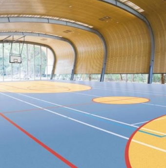 Sàn thể thao Royhome Floor là những mẫu sàn khá cao cấp