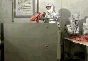 Máy xay thịt đông lạnh DGDFG6545