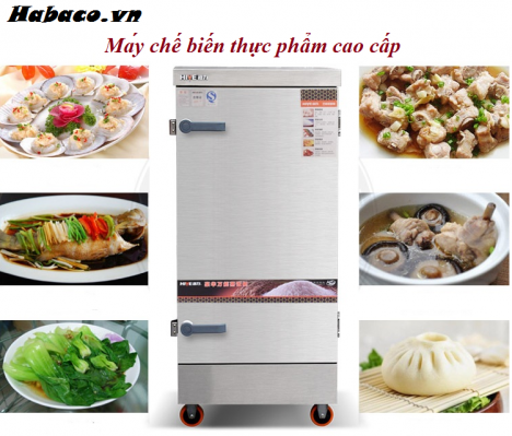 Tủ nấu cơm 6 khay dùng gas và điện HG32121