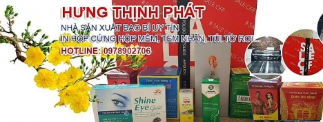 CÔNG TY CỔ PHẦN THƯƠNG MẠI PHÁT TRIỂN VÀ ĐẦU TƯ HƯNG THỊNH PHÁT