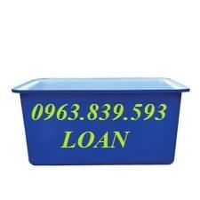 Thùng nhựa chữ nhật 750L - thùng nhựa 2 lớp làm bể bơi chất lượng
