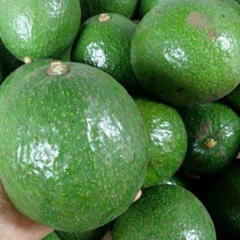 Cung cấp cà phê, bơ, tiêu tại Việt Nam- KTC Việt Nam