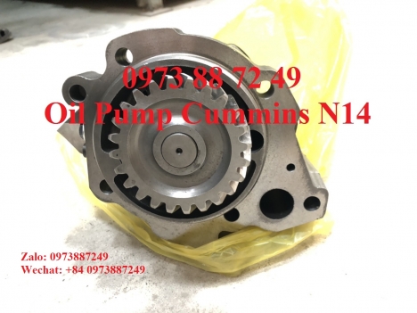 3042378 Bán bơm nhớt Cummins N14 giá tốt nhất