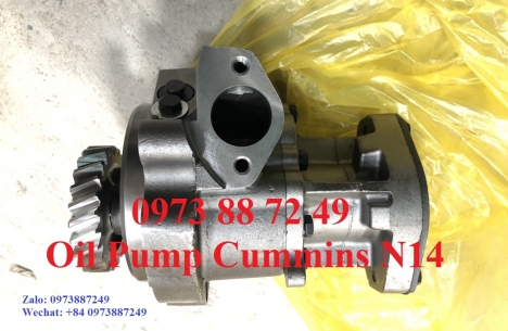 3042378 Bán bơm nhớt Cummins N14 giá tốt nhất