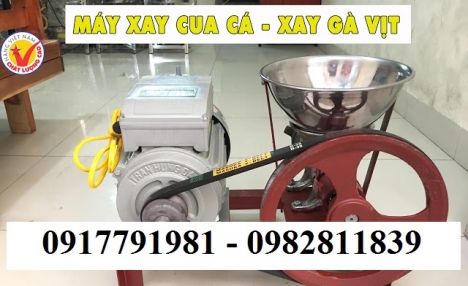 Máy xay thịt Việt Nam mini hàng công ty