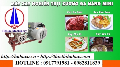 Máy xay thịt Việt Nam mini hàng công ty