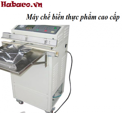 Máy hút chân không túi ngoài hàng công ty 6019