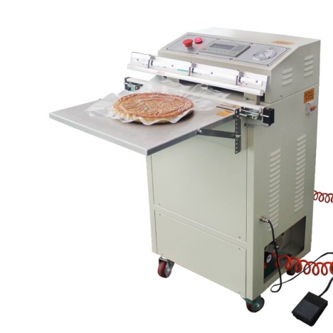 Máy hút chân không túi ngoài hàng công ty 6019