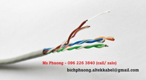 Cáp mạng Altek Kabel Cat5e - Cáp mạng chống nhiễu FTP6