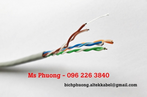 Cáp mạng Altek Kabel Cat5e - Cáp mạng chống nhiễu FTP6