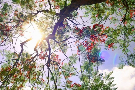 KĐT Hoàng Thành Kon Tum - Mua đất vàng trúng xe sang