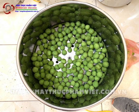 máy gọt vỏ sấu cóc có giá rẻ nhất bao nhiêu?