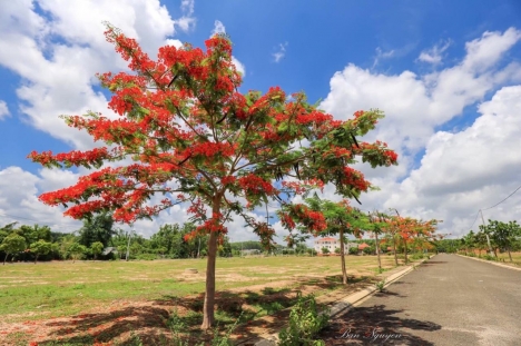KĐT Hoàng Thành Kon Tum - Mọi tiện ích cho cuộc sống vững bền