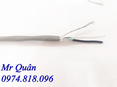 Dây tín hiệu vặn xoắn từng cặp 2 lớp chống nhiễu
