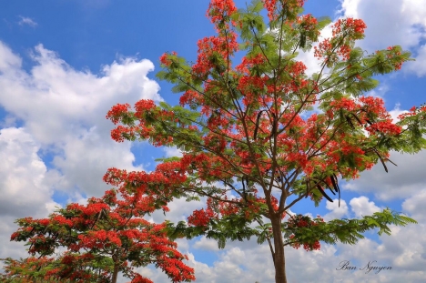 Nên đầu tư ở đâu để sinh lời cao nhất tại Kon Tum