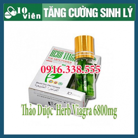 Thảo dược cường dương Herb Viagra 6800mg mua o dau