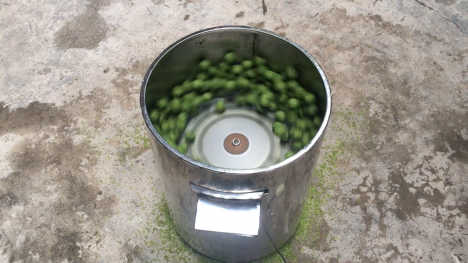 Máy cạo vỏ cóc sấu.