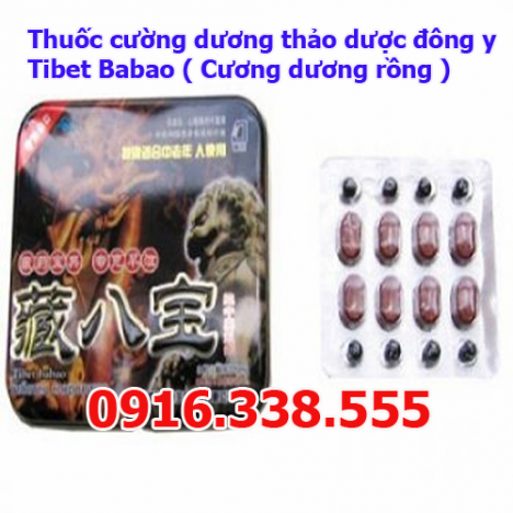 Thuốc cường dương thảo dược đông y Tibet Babao Cương dương rồng mua o dau