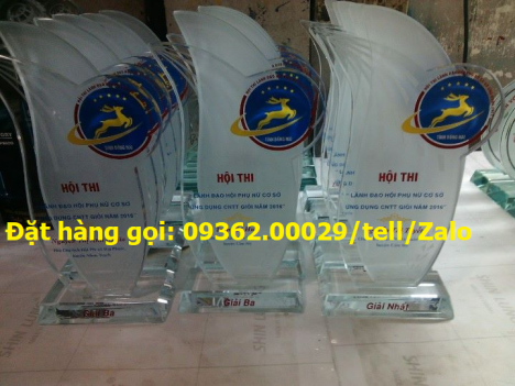 Nhận gia công cup lưu niệm,kỉ niệm chương làm quà tặng
