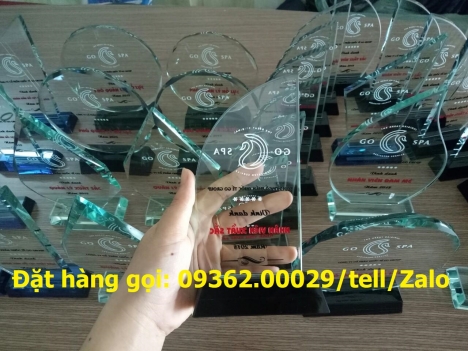 Nhận gia công cup lưu niệm,kỉ niệm chương làm quà tặng