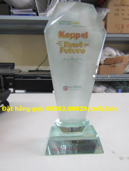 Nhận gia công cup lưu niệm,kỉ niệm chương làm quà tặng