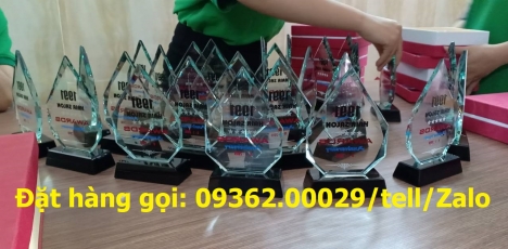 Nhận gia công cup lưu niệm,kỉ niệm chương làm quà tặng