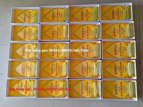 Nhận gia công cup lưu niệm,kỉ niệm chương làm quà tặng