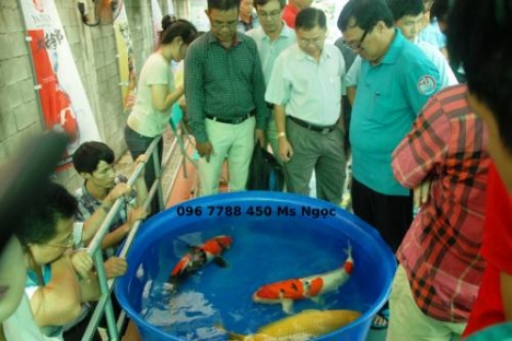 thùng nhựa tròn 1000lit nuôi cá koi giá rẻ