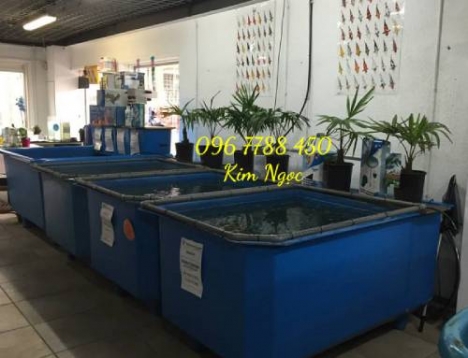 Thùng nhựa chữ nhật 500lit 1 lớp nuôi cá trồng rau chứa nước