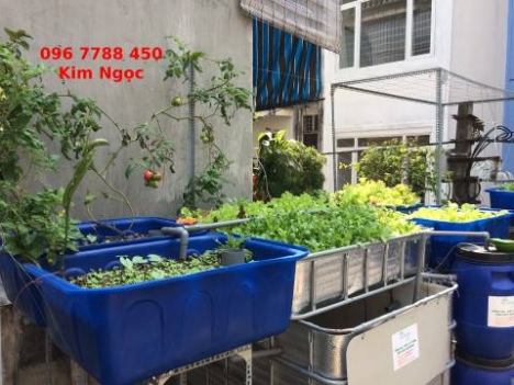 Thùng nhựa chữ nhật 500lit 1 lớp nuôi cá trồng rau chứa nước