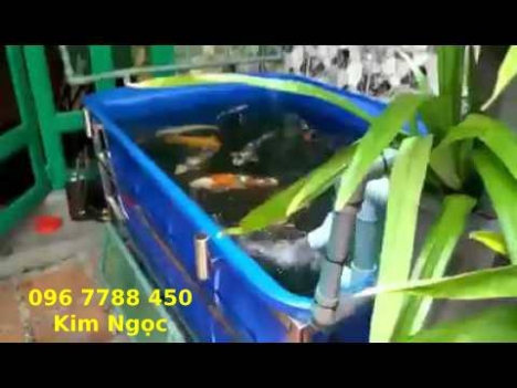 Thùng nhựa chữ nhật 500lit 1 lớp nuôi cá trồng rau chứa nước