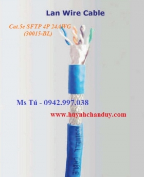 30015-BL - Cáp mạng Cat.5e chống nhiễu 2 lớp, hosiwell cable