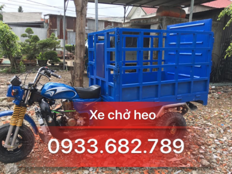 xe ba bánh hoa lâm giá rẻ toàn quốc