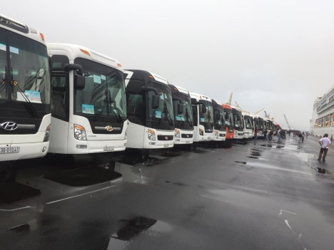 XE DU LỊCH GIÁ RE ĐÀ NẴNG