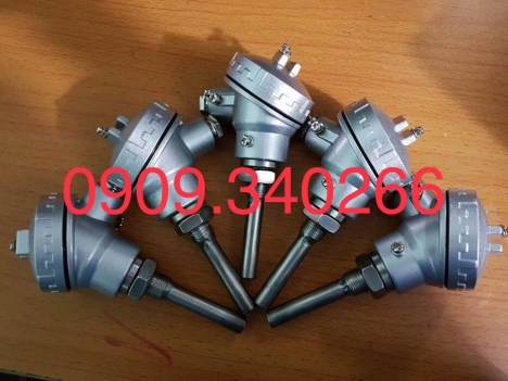 Dò nhiệt Củ hành, Dò nhiệt PT 100, Dò nhiệt loại K, J..nhiệt độ từ 0 đến 1600 độ C