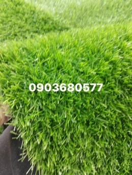 Thảm cỏ nhân tạo trang trí cho trường mầm non