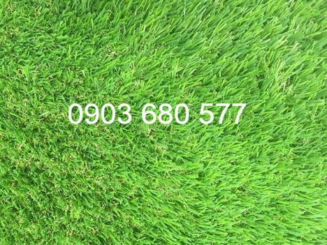 Thảm cỏ nhân tạo trang trí cho trường mầm non