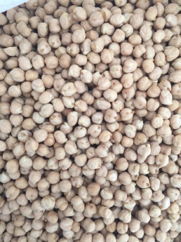 Hạt Dinh Dưỡng nhập khẩu 100% - Chuyển Sỉ, Lẻ