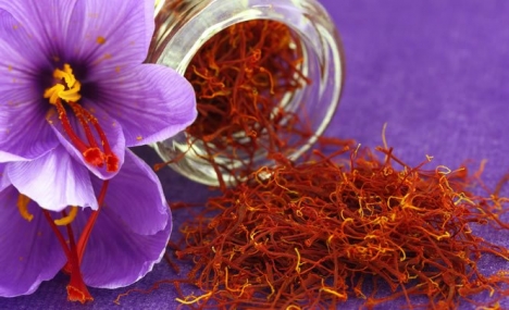 Hạt Dinh Dưỡng nhập khẩu 100% - Chuyển Sỉ, Lẻ