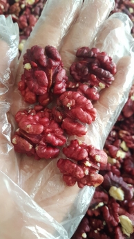 Hạt Dinh Dưỡng nhập khẩu 100% - Chuyển Sỉ, Lẻ