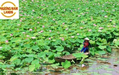 siêu phẩm đất dự án đã có sổ từng nền tại tp cần thơ