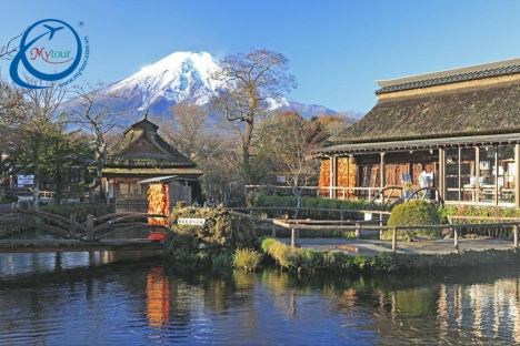 Chương trình du lịch Nhật Bản mùa hoa anh đào