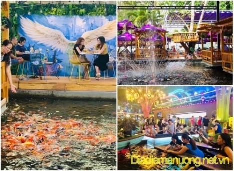 Quán Cafe Cá Koi, Sân Vườn Đẹp Quận Tân Phú