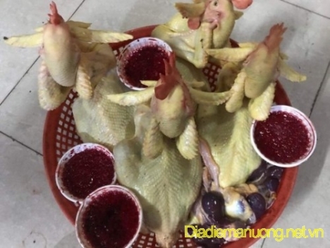 Cung Cấp Sỉ, Lẻ Gà Ta Bến Tre, Long Khánh