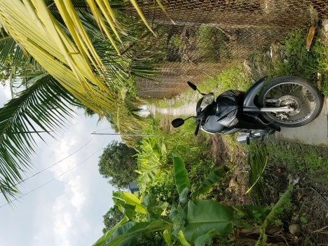 Bán đất Cầu Trắng - Thạnh Lộc 583m²