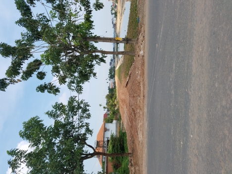 Bán đất Cầu Trắng - Thạnh Lộc 583m²