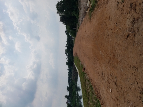 Bán đất Cầu Trắng - Thạnh Lộc 583m²