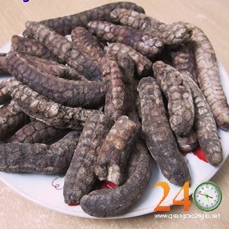 Bán Sỉ Chuối Hột Rừng Giá Rẻ