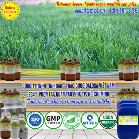 Tinh dầu Cỏ Gừng nguyên chất 1000ml